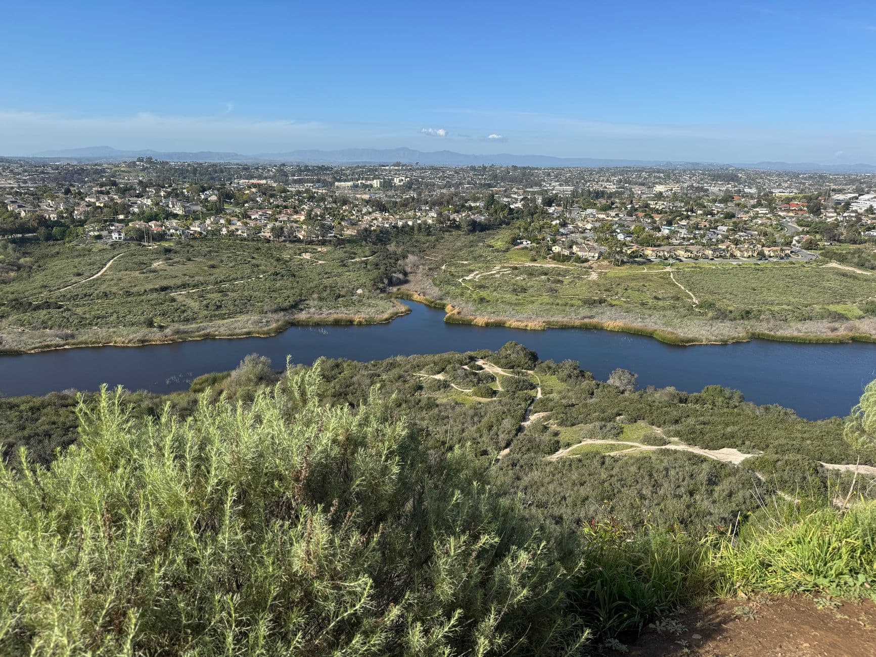 Expansive view of Carlsbad Lagoon with lush greenery under a clear blue sky.