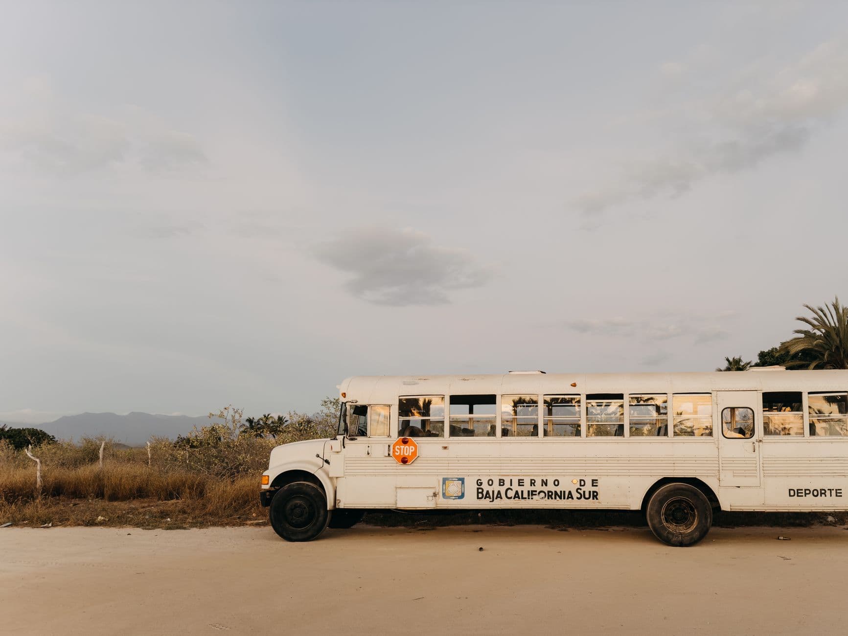 A white school bus parked in the desert landscape of Baja California Sur, Mexico under a clear sky.