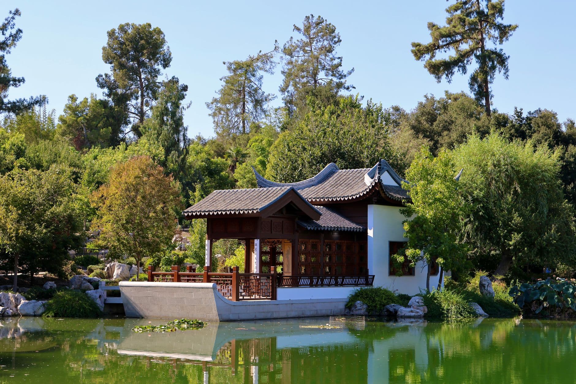Beautiful Chinese pavilion surrounded by lush greenery and reflecting pond in San Marino, California.