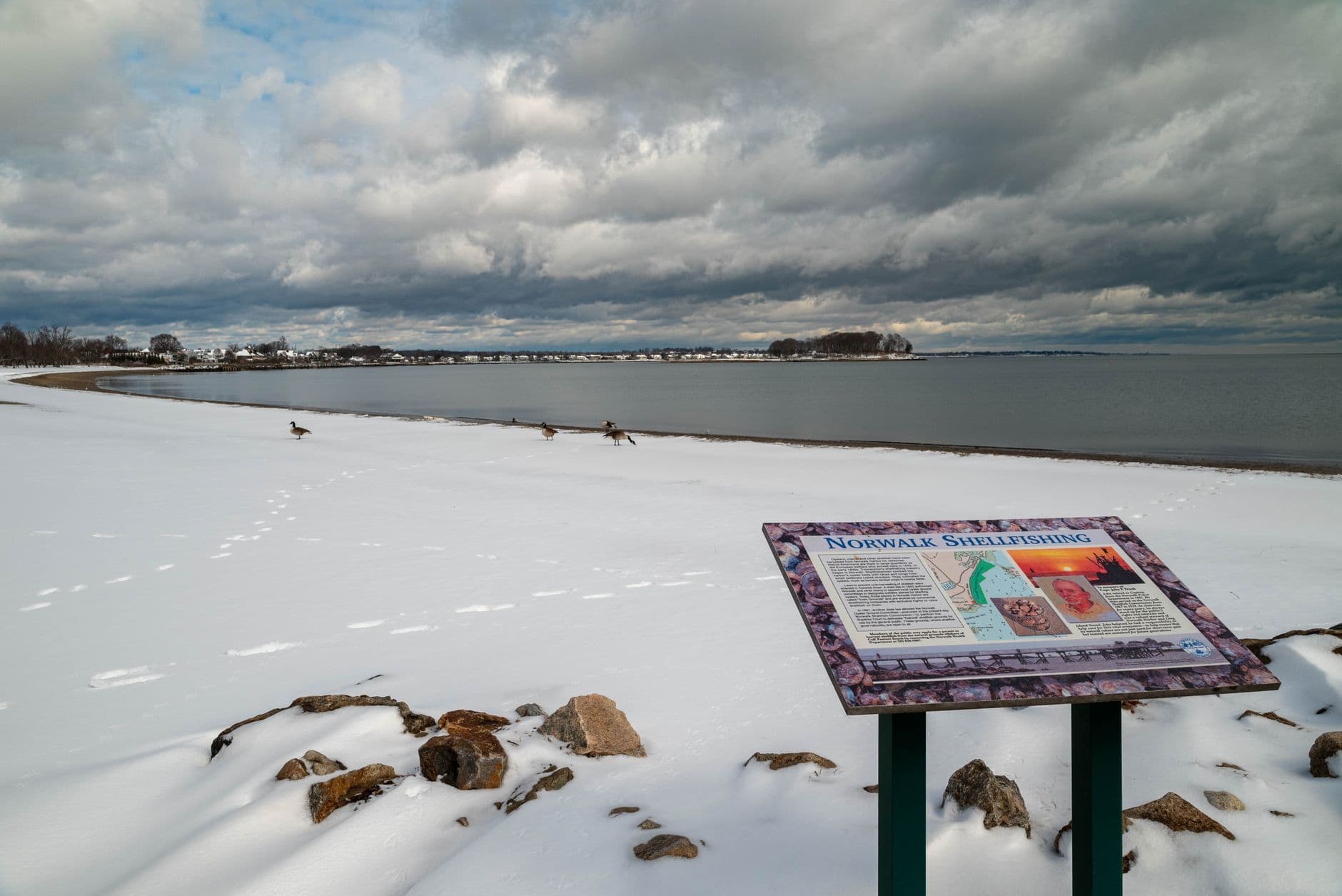 Snow-covered beach with a Norwalk Shellfishing sign under cloudy skies.