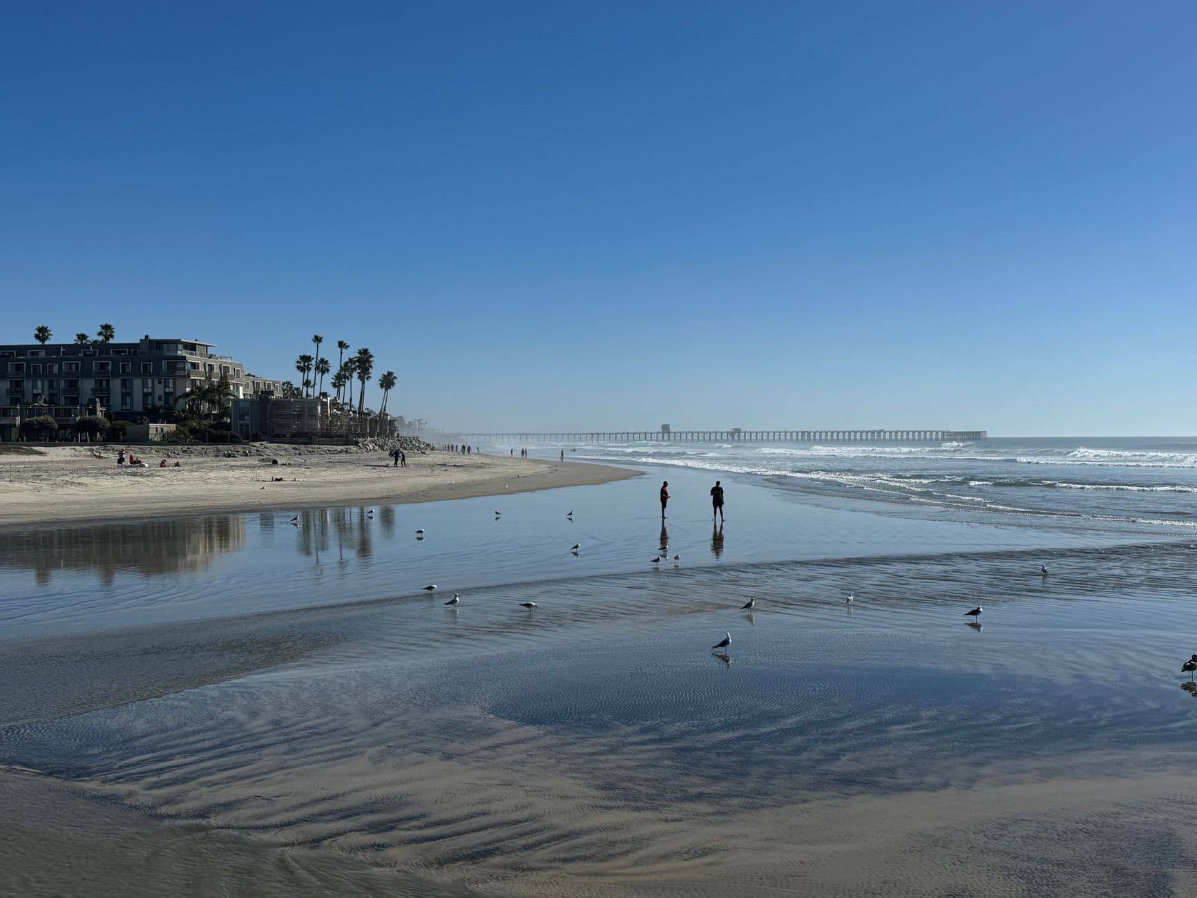 Peaceful Oceanside beach scene with distant pier, seagulls, and reflections.